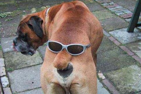 407.DAX Tipp-Spiel, Montag, 13.11.06 66741