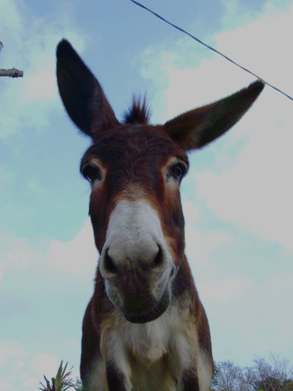 Net Ag 786740 - Es kann nur besser werden! 42992