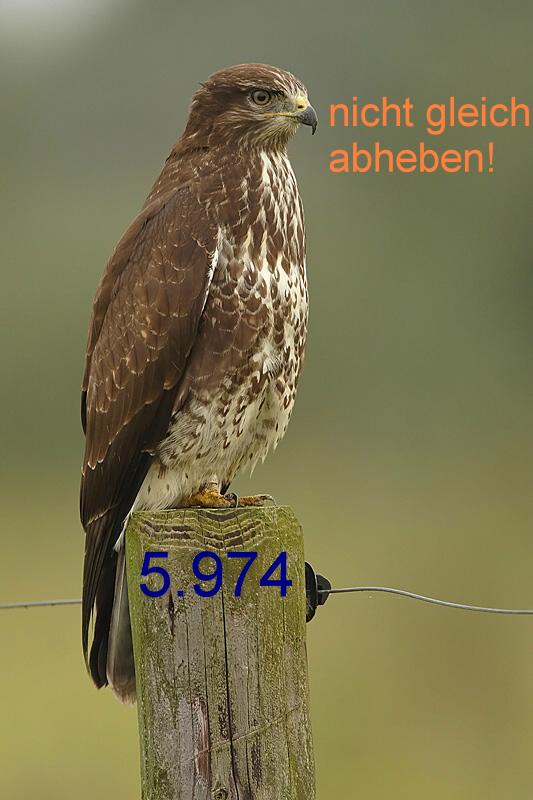 376.DAX Tipp-Spiel, Freitag, 29.09.06, 17.45 Uhr 59655