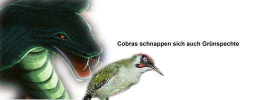 Cobracrest - Thema Übernahme 38227