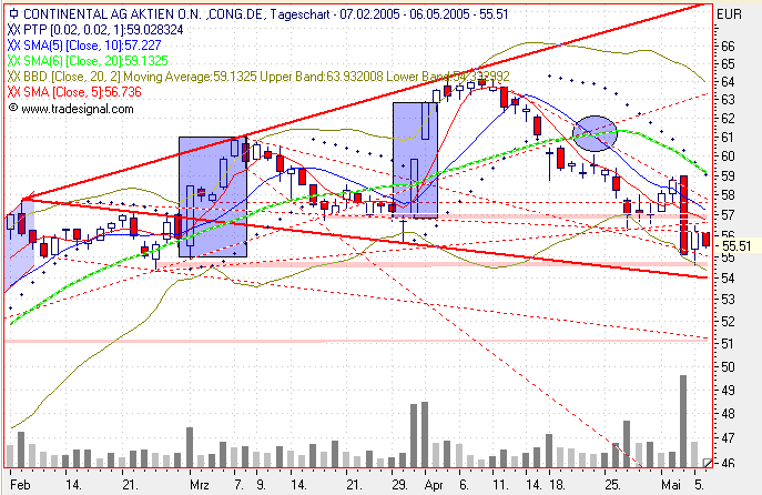 Einzelwerte zum TTT 8084