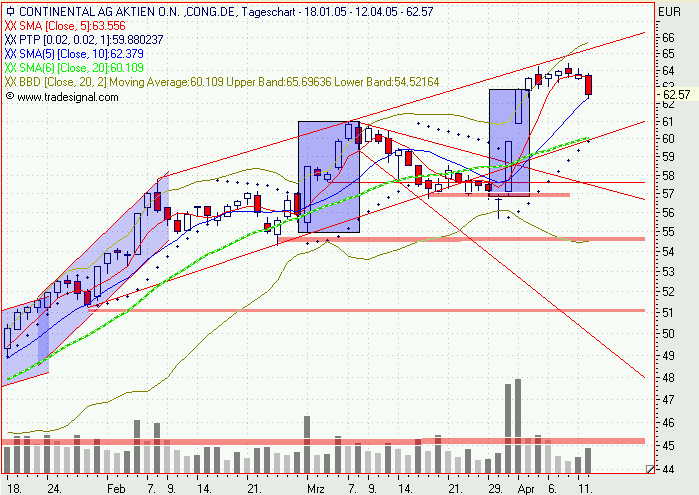 Einzelwerte zum TTT 7013