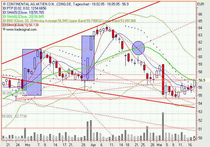 Einzelwerte zum TTT 8704