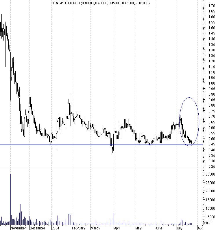 Calypte und die Zeit nach AIDS2004 in Bangkok 531