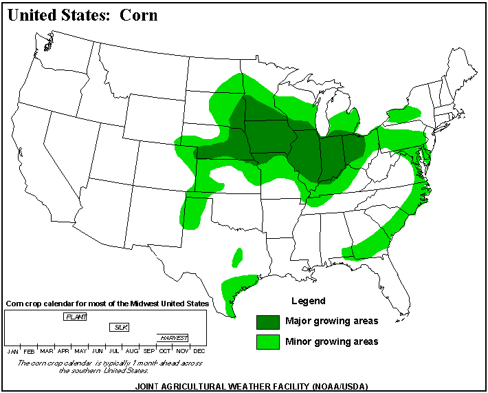 Mais ein lukratives Investment 19031