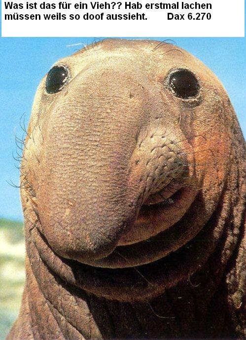 405.DAX Tipp-Spiel, Donnerstag, 09.11.06 66204