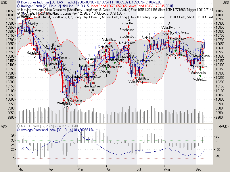 ► TTT-Team / Freitag, 09.09.2005 15148