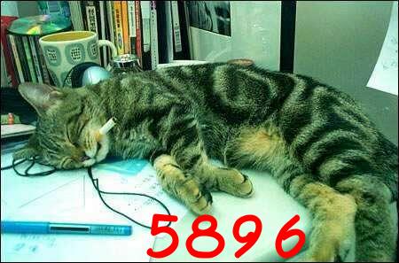 247.DAX Tipp-Spiel, Mittwoch, 29.3.06, 17.45 Uhr, 35130