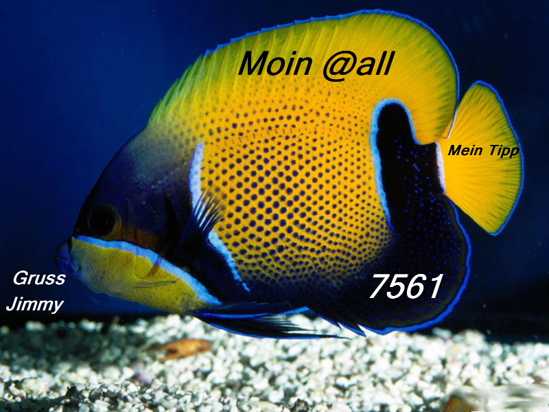 536.DAX Tipp-Spiel, Montag, 21.05.07 99208