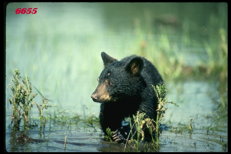 480.DAX Tipp-Spiel, Dienstag, 27.02.07 84979