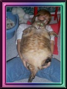 SOLARWORLD: short bleiben 3910