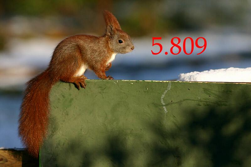 351.DAX Tipp-Spiel, Freitag, 25.08.06, 17.45 Uhr, 53708