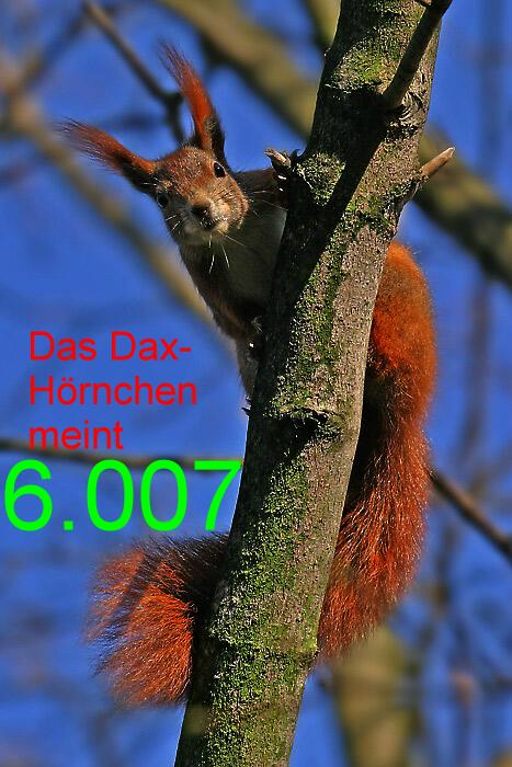 374.DAX Tipp-Spiel, Mittwoch, 27.09.06,17.45 Uhr 59056