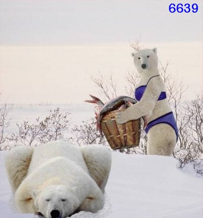 445.DAX Tipp-Spiel, Dienstag, 09.01.07 76013