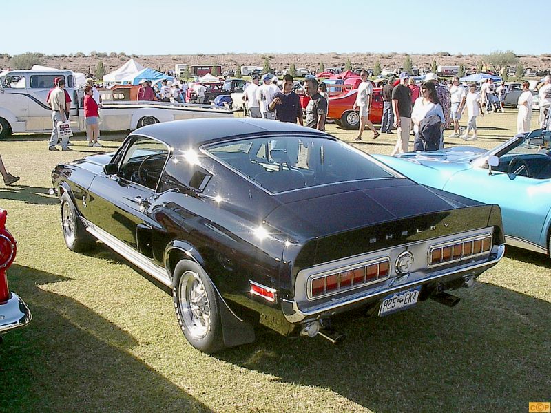 Ein möglicher Gewinner 2006 Marmion! 36383