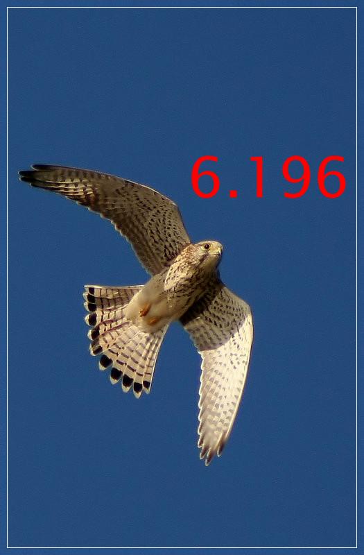 386.DAX Tipp-Spiel, Freitag, 13.10.06, 17.45 Uhr 61981