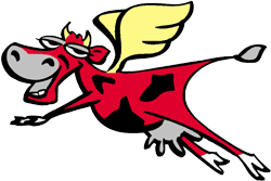 569.DAX Tipp-Spiel, Freitag, 06.07.07 107549