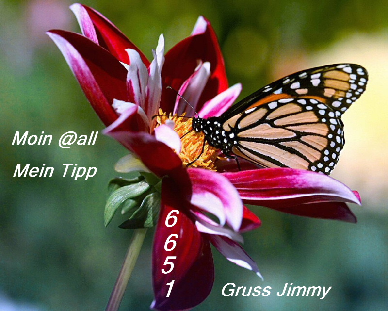 485.DAX Tipp-Spiel, Dienstag, 06.03.07 86262