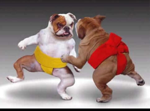 Intel - ein kurzfristiger Trade? 37532