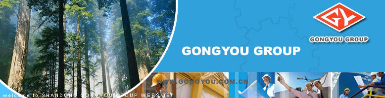 Orchid Capital LTD. Registered Shares O.N. 924249 41579