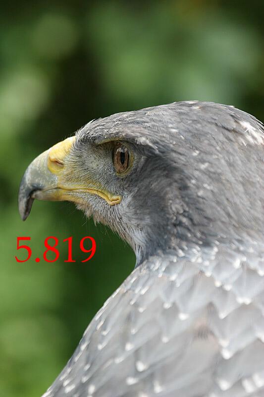 354.DAX Tipp-Spiel, Mittwoch, 30.08.06, 17.45 Uhr, 54586