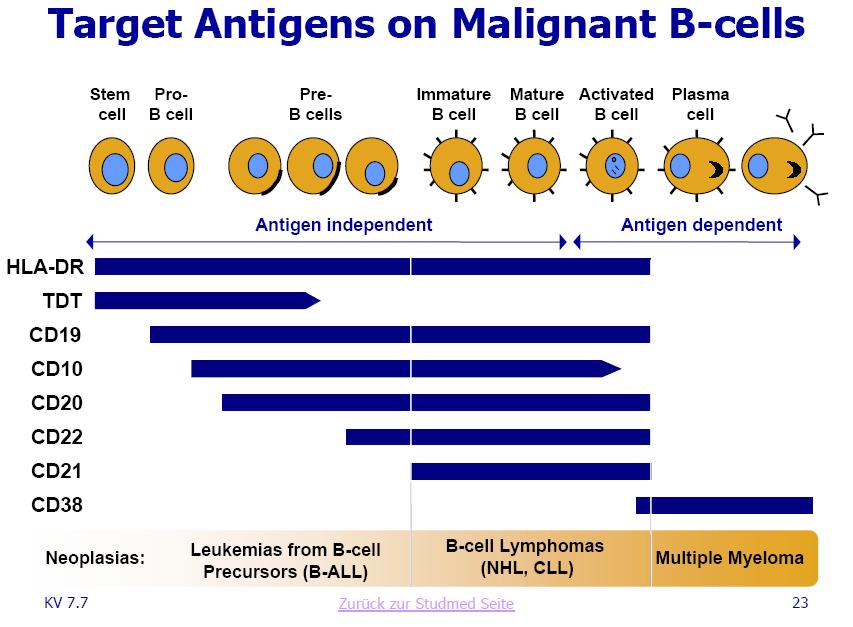GPC-Biotech 585150 auf den Weg zur 200€ marke 209