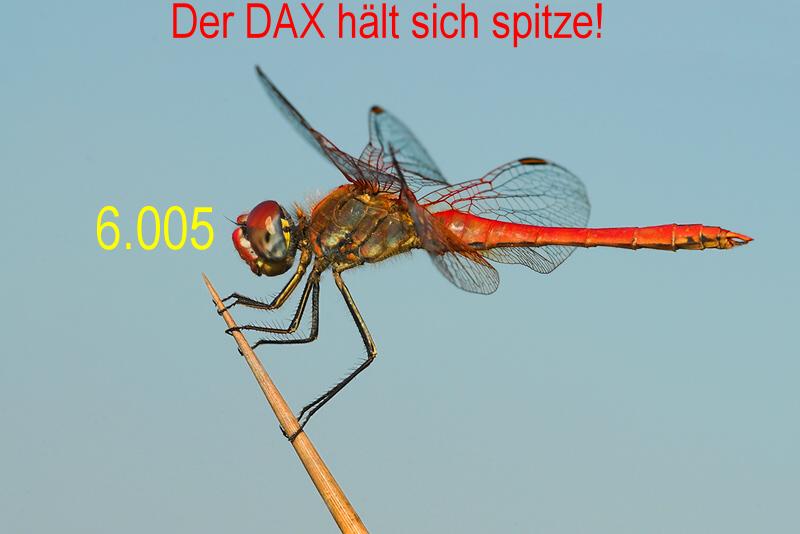 378.DAX Tipp-Spiel, Dienstag, 03.10.06, 17.45 Uhr, 60148