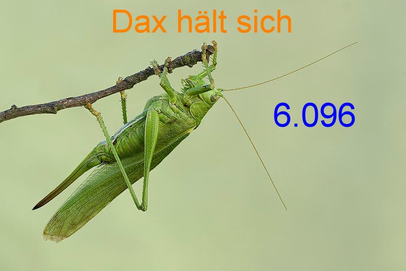 384.DAX Tipp-Spiel, Mittwoch,11.10.06, 17.45 Uhr 61517