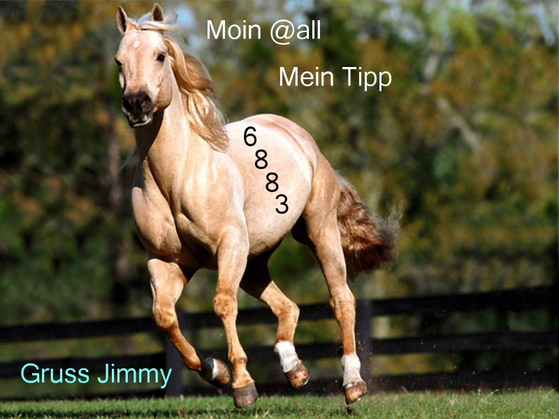 465.DAX Tipp-Spiel, Dienstag, 06.02.07 81141