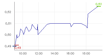 Stallion Group 107113