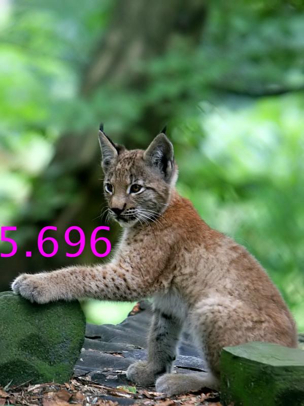 362.DAX Tipp-Spiel, Montag, 11.09.06 56359