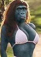 PRIMACOM Sensations - ad hoc Meldung 5155