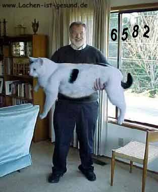 432.DAX Tipp-Spiel, Montag, 18.12.06 72453