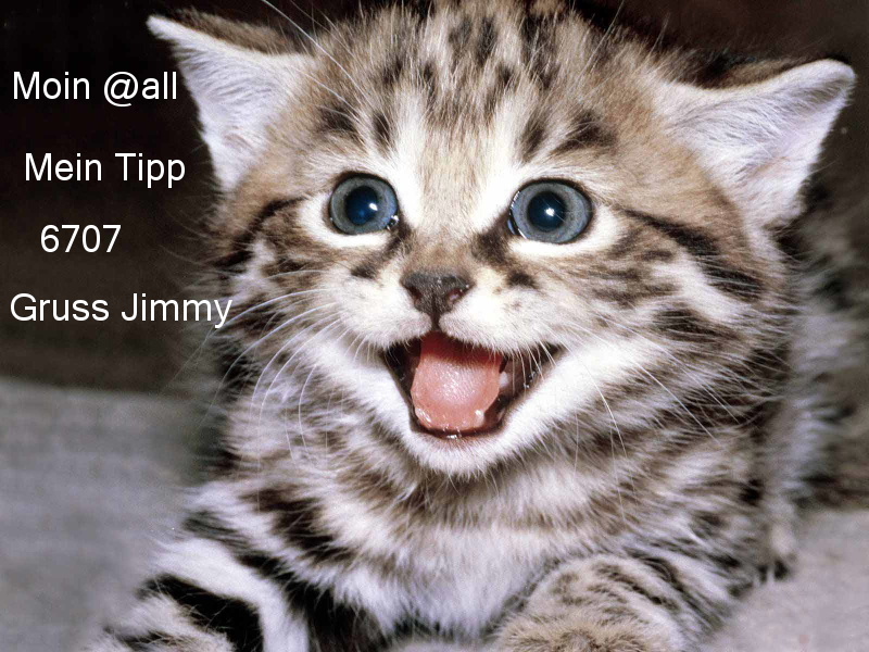 450.DAX Tipp-Spiel, Dienstag, 16.01.07 77438