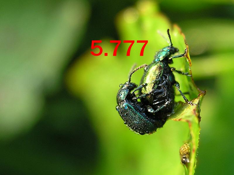 361.DAX Tipp-Spiel, Freitag, 08.09.06 56192