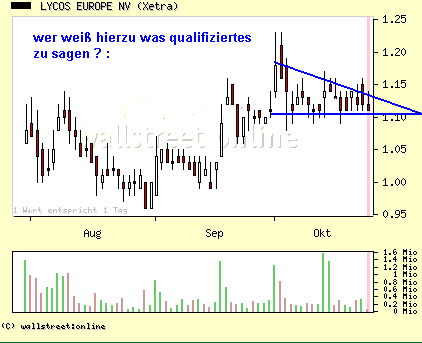 Lycos explodiert! 18305