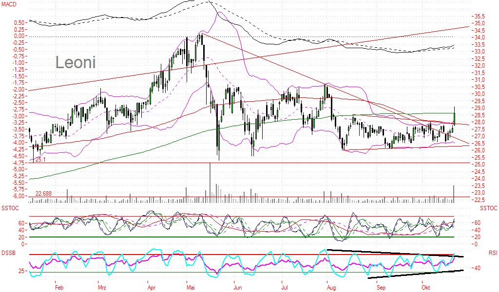 Leoni gekauft für 22,0 Euro/ KGV03=4,5 DivR.=5,5% 63362