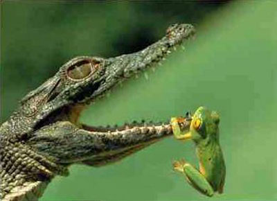 Ab Montag bis Mitte Juni -5-10% bei allen Indezis 98891