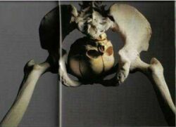 Russoil ist die neue Rakete 102073