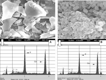 Investiert in den Multi-Blockbuster! 63054