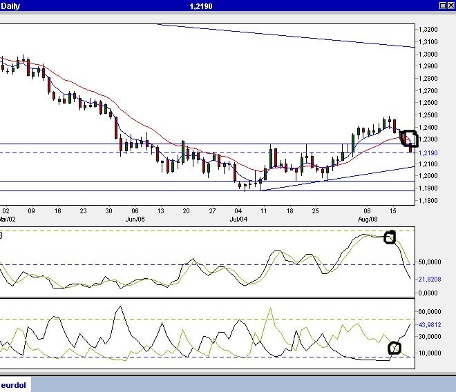 US-Dollar - Kommt es zum großen Knall? 13707