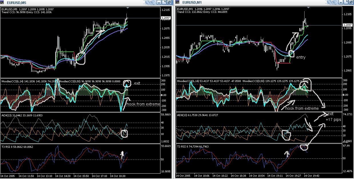 ► TTT-Team / Freitag, 14.10.2005 17531