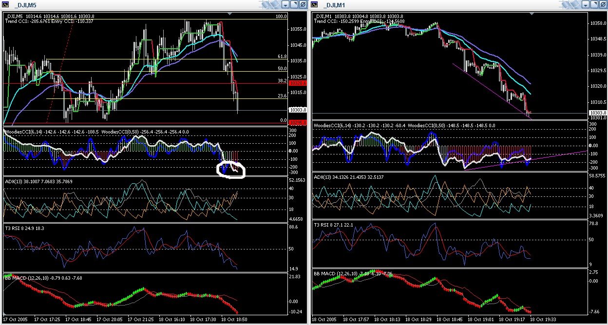 ► TTT-Team / Dienstag, 18.10.2005 17801