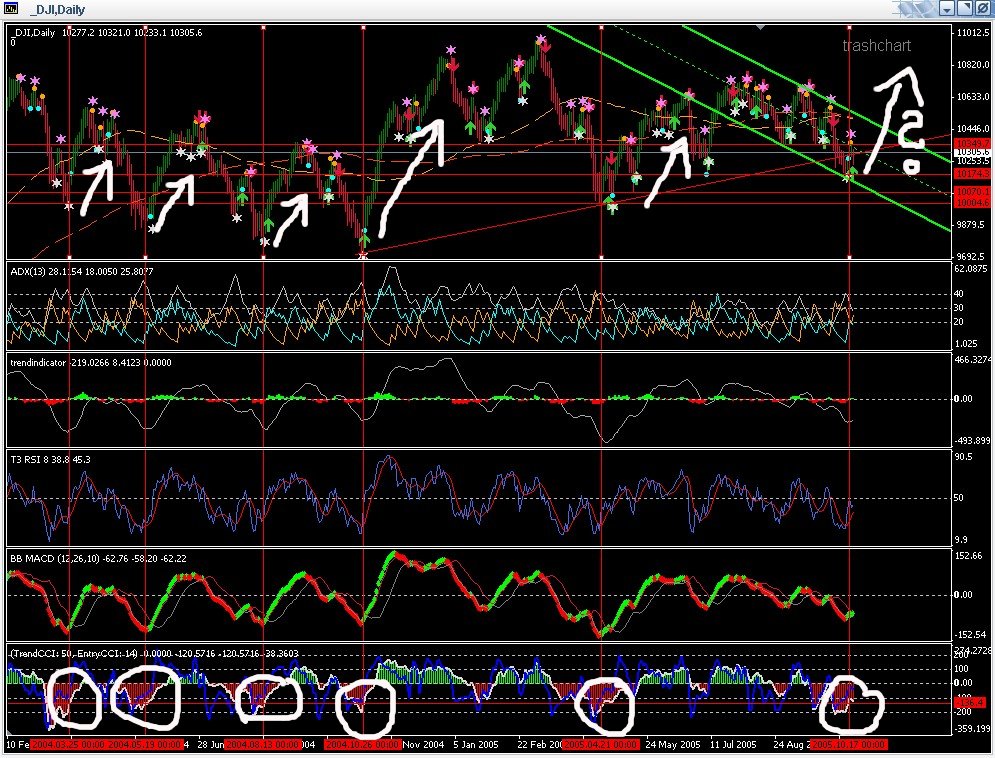 ► TTT-Team / Mittwoch, 19.10.2005 17851