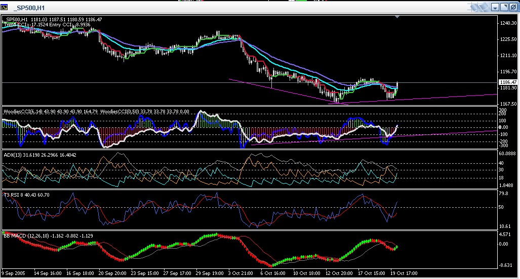 ► TTT-Team / Mittwoch, 19.10.2005 17869