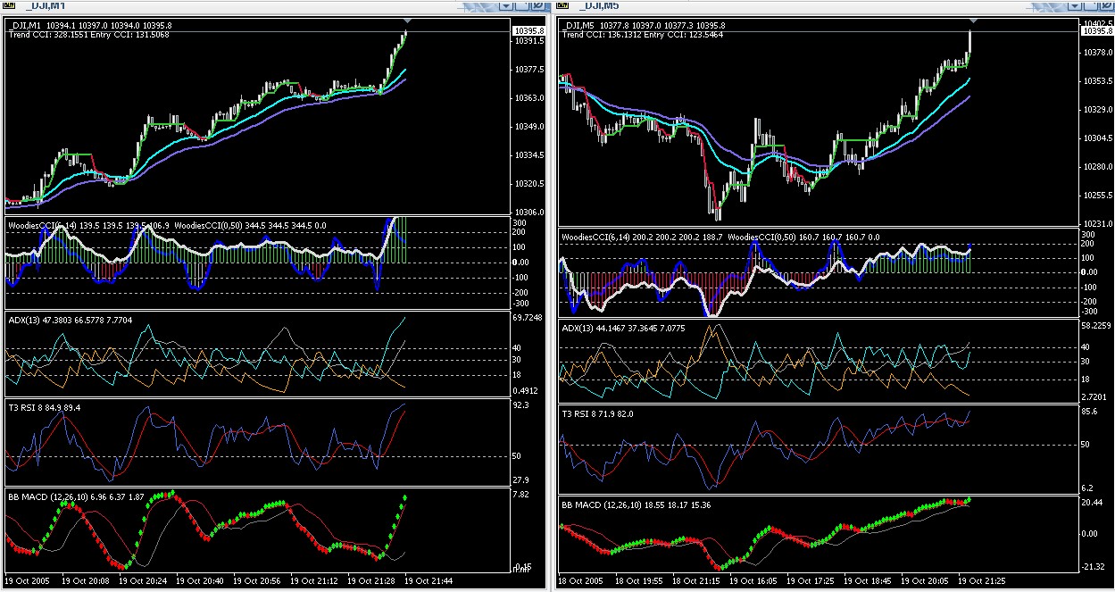 ► TTT-Team / Mittwoch, 19.10.2005 17878
