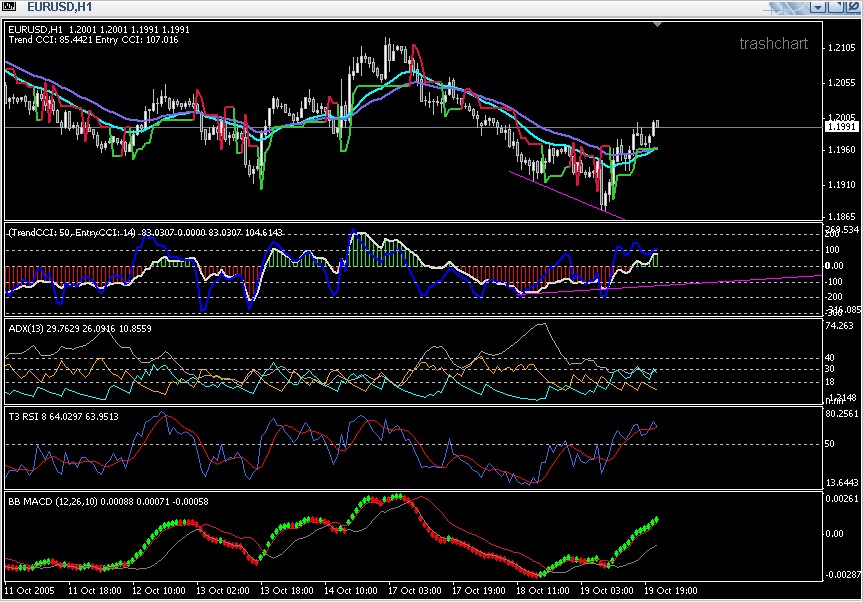 ► TTT-Team / Mittwoch, 19.10.2005 17886