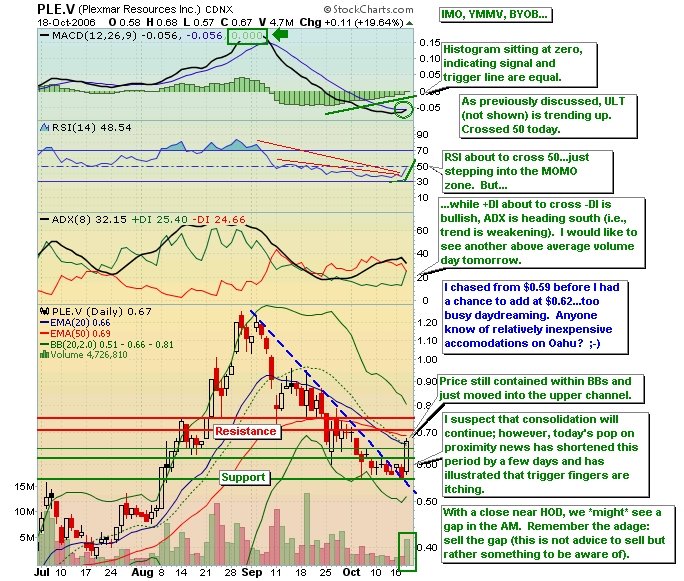 Plexmar - die Turbokursrakete startet 62717