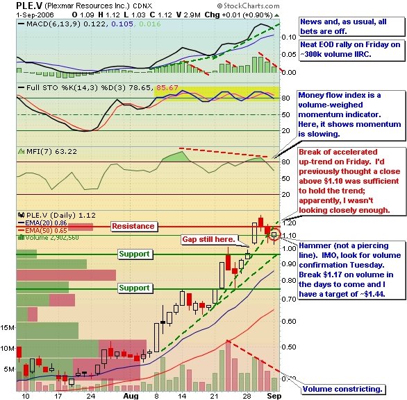 Plexmar - die Turbokursrakete startet 55432