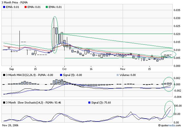 Palomar Enterprises Inc. noch mit Potenzial! 68904